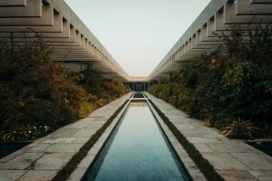 p1005536