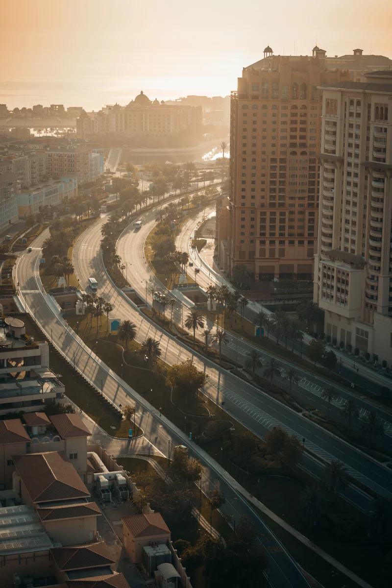 p1006273